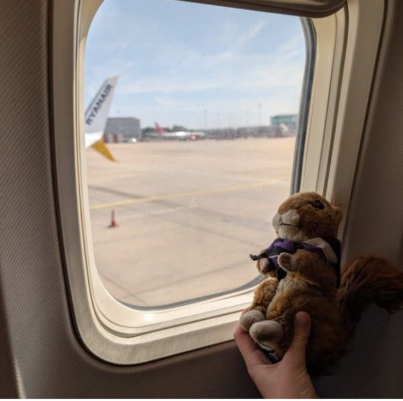 The group's squirrel mascot looking out of the plane window before the flight to Sweden