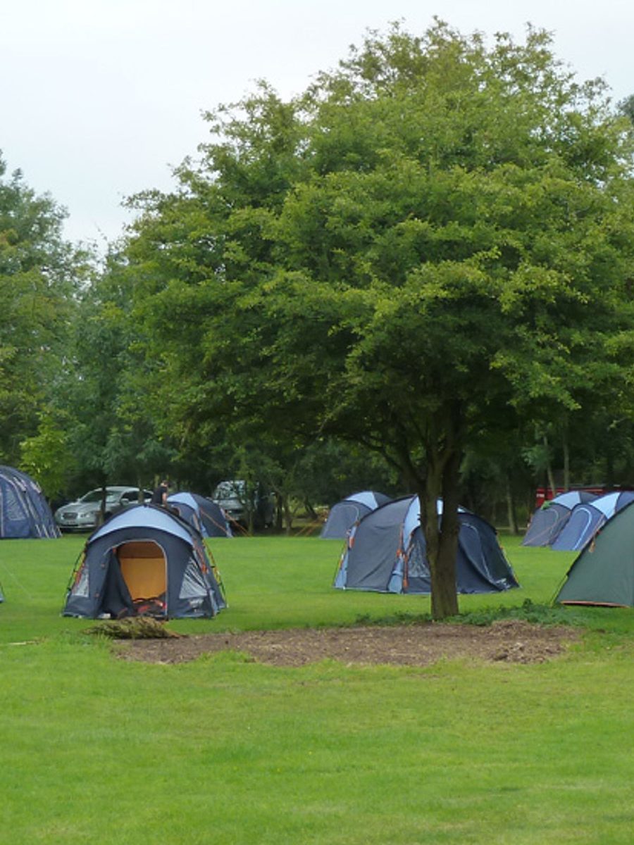 Barton Scout Group's tents pitched at camp