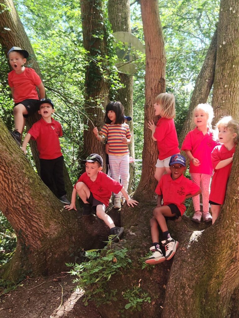 St Joseph's Scouts exploring the trees on an outdoor adventure