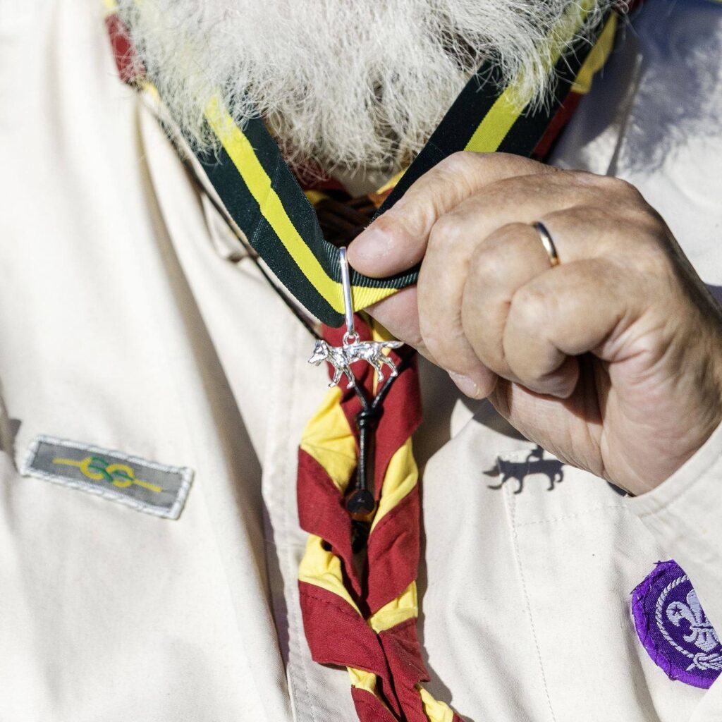 Close-up of the Silver Wolf on its green and yellow ribbon